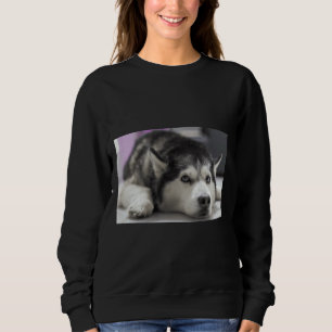 Sweatshirt Sibérie Husky 32