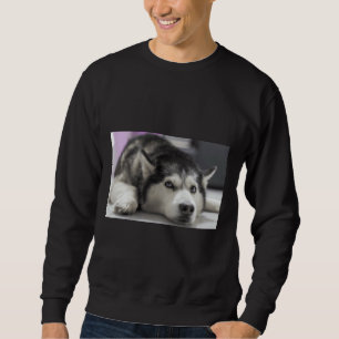 Sweatshirt Sibérie Husky 32