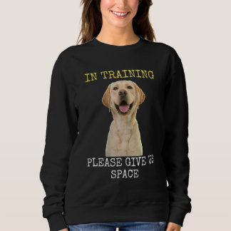 Sweatshirt S'il vous plaît donnez-nous la formation spatiale