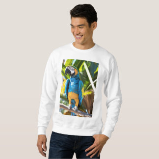 Sweatshirt Suéter Básico Masculino Arara Azul