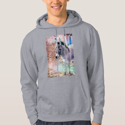 Sweatshirt Sweat - shirt à capuche Shadow Shoni (Devant)