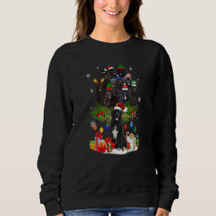 Sweatshirt Terre-Neuve Les lumières des arbres de Noël Drô