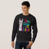 Sweatshirt Third Team 3rd Grade Teacher Rainbow No Prob Llama (Devant entier)