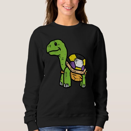 Sweatshirt Tortue non binaire Enby Nb Pride Indicateur Lgb (Devant)