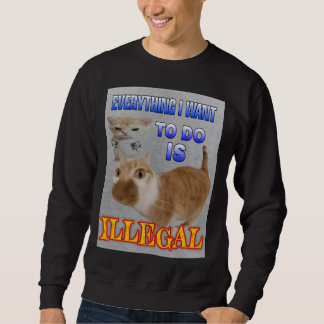 Sweatshirt Tout ce que je veux faire est des hommes illégaux