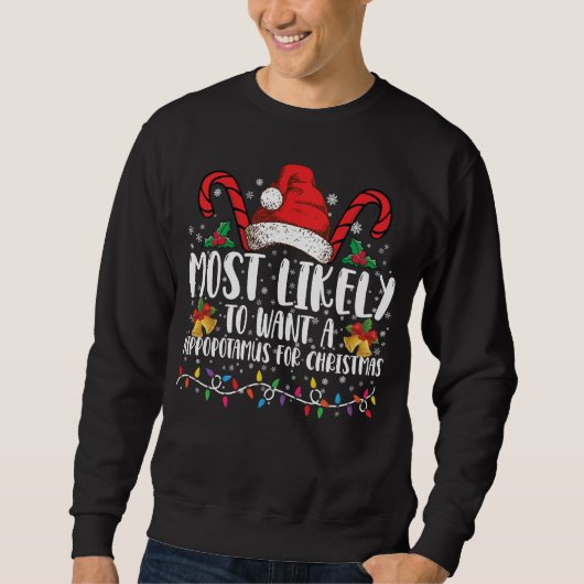 Sweatshirt Très Probable De Vouloir Un Hippopotame Pour Noël (Devant)
