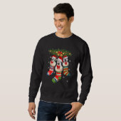 Sweatshirt Trois Dogo Argentino En Sock Noël Père Noël X Mas (Devant entier)