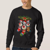 Sweatshirt Trois Dogo Argentino En Sock Noël Père Noël X Mas (Devant)