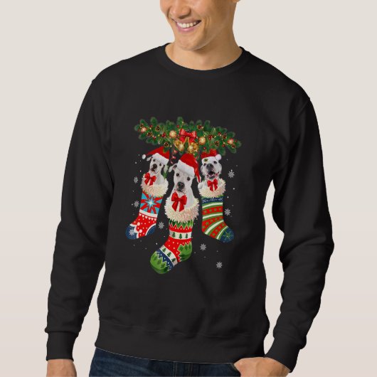 Sweatshirt Trois Dogo Argentino En Sock Noël Père Noël X Mas (Devant)