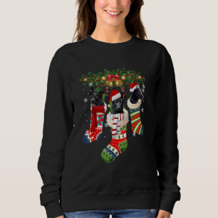 Sweatshirt Trois Kelpie Australienne En Sock Noël Père Noël X