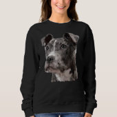 Sweatshirt Un ami Pitbull (Devant)
