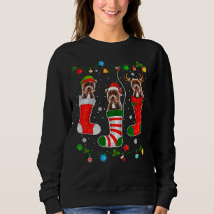 Sweatshirt Un pyjama de Noël éclaire Pitbull Chien Chiot Aman