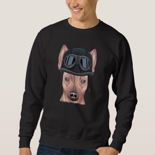 Sweatshirt Vintage Motorcycle Helmet American Hairless Terrie (Devant)