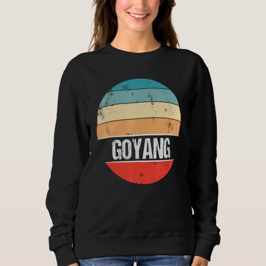 Sweatshirt Voyage à Goyang en Corée du Sud (Devant)