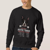 Sweatshirt without Boston Terrier dog everything is stupid (Devant)