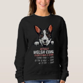 Sweatshirt without Welsh Corgi dog everything is stupid_3 (Devant)