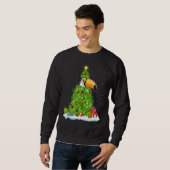 Sweatshirt Xmas Decorations Lights Santa Hornbill Bird Christ (Devant entier)