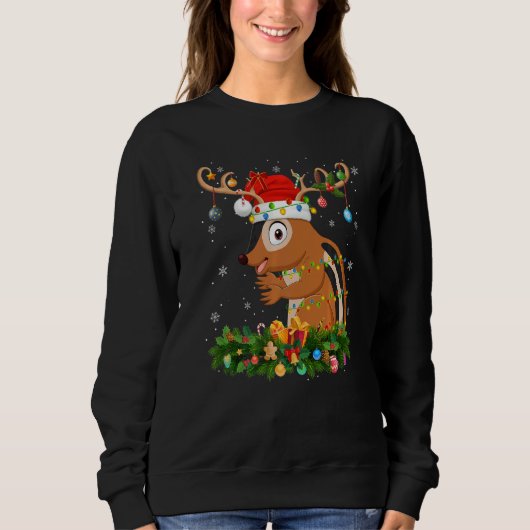 Sweatshirt Xmas Holiday Reindeer Hat Santa Chipmunk Christmas (Devant)
