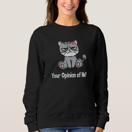 Sweatshirt Your Opinion of Me Sarcastic Coworker Sarcasm Offi (Devant)