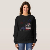 Sweatshirt Zebra Riding Camion Drapeau Américain Feu d'artifi (Devant entier)