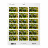 Swedish Bluebell Etiket (Full Sheet)