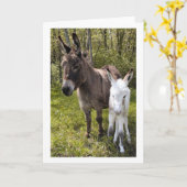 Swee pea kaart (Gele Bloem)