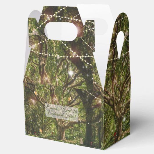 Sweet 16 Enchanted Forest Fairies Bunny Stars Bedankdoosjes (Geopend)