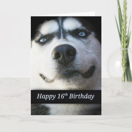 Sweet 16th Birthday Kaart, Cute Husky (Voorkant)