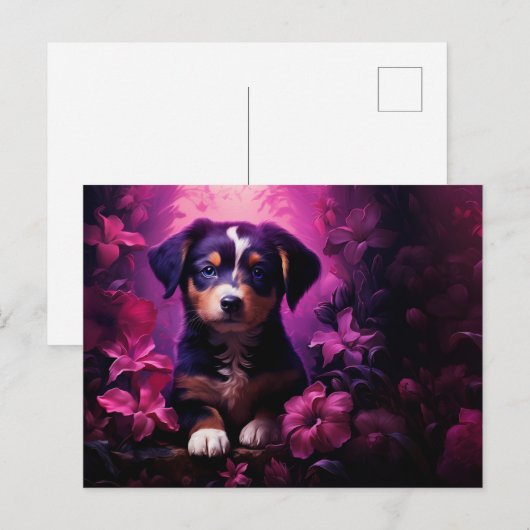 Sweet and Loyal Briefkaart (Voorkant / Achterkant)