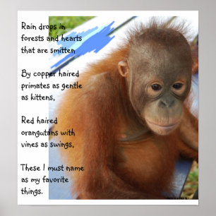 Sweet Animal Favorieten Poster