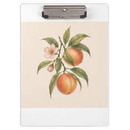 Sweet as a Peach | Vintage Peach Botanical Design Klembord