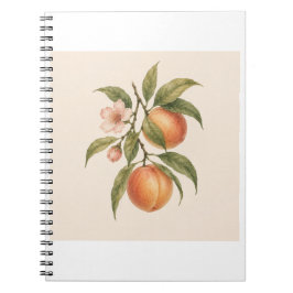 Sweet as a Peach | Vintage Peach Botanical Design Notitieboek