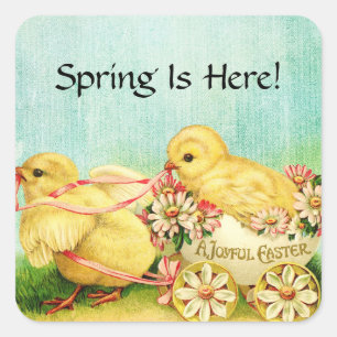 Sweet Baby Chicks Easter  Tekst toevoegen Vierkante Sticker
