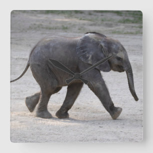Sweet Baby Elephant Kibali Vierkante Klok