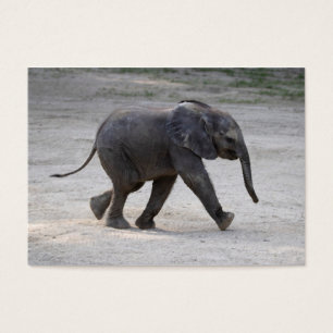 Sweet Baby Elephant Kibali Visitekaartje