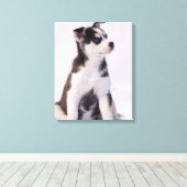 Sweet Baby Puppy Canvas Afdruk (Insitu (Houten vloer))