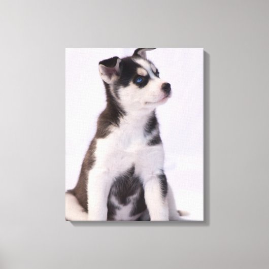 Sweet Baby Puppy Canvas Afdruk (Voorkant)