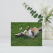 Sweet Baby Rabbit Briefkaart (Staand voorkant)