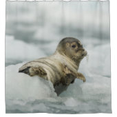 Sweet Baby Seal Douchegordijn (Voorkant)