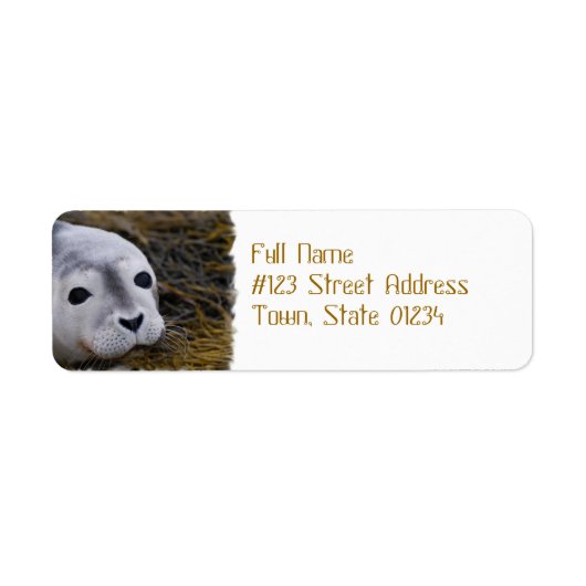 Sweet Baby Seal Verzendlabels Etiket (Voorkant)
