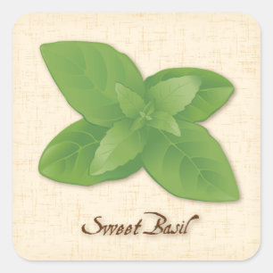 Sweet Basil Square Sticker