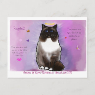 Sweet Beauful Ragdoll Briefkaart