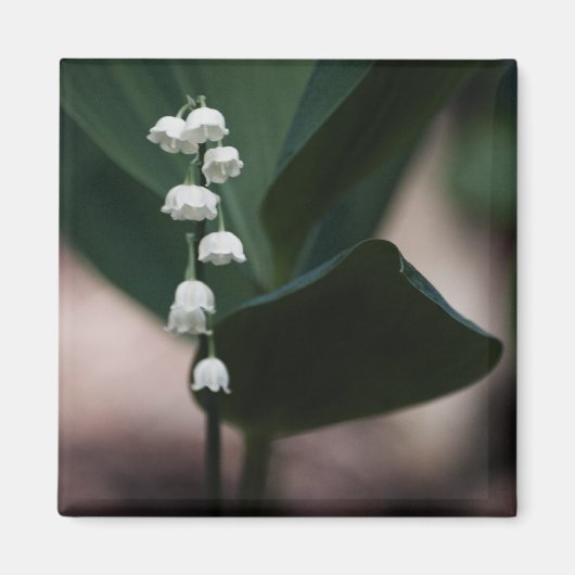 Sweet Bells Magnet Magneet (Voorkant)