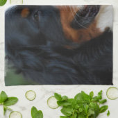 Sweet Bernese Kitchen Towel Theedoek (Gevouwen)