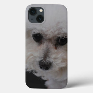 Sweet Bichon Frise iPhone 13 Hoesje