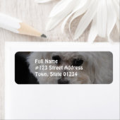 Sweet Bichon Frise Etiket (Insitu)