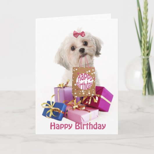 Sweet birthday card dog Maltese and presents Kaart (Voorkant)
