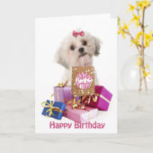 Sweet birthday card dog Maltese and presents Kaart (Gele Bloem)