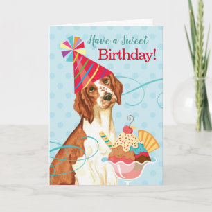Sweet Birthday Welsh Springer Spaniel Kaart