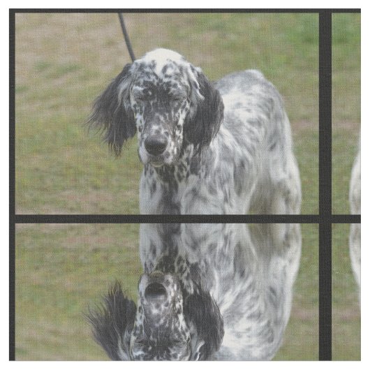 Sweet Black en White English Setter Stof (Close Up)